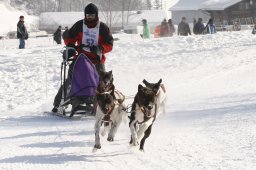 Lenk 2012 SM